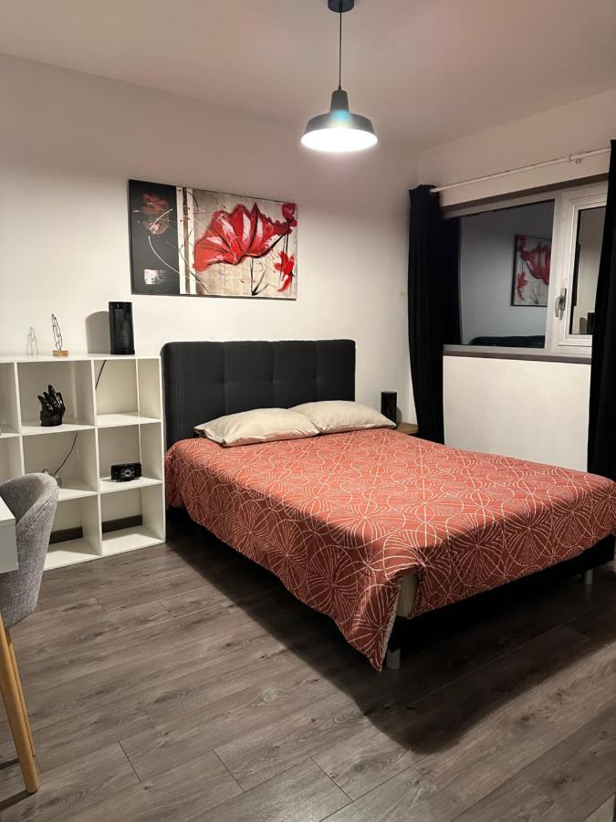 Magnifique Loft - Hyper Centre Apartment Annemasse Bagian luar foto