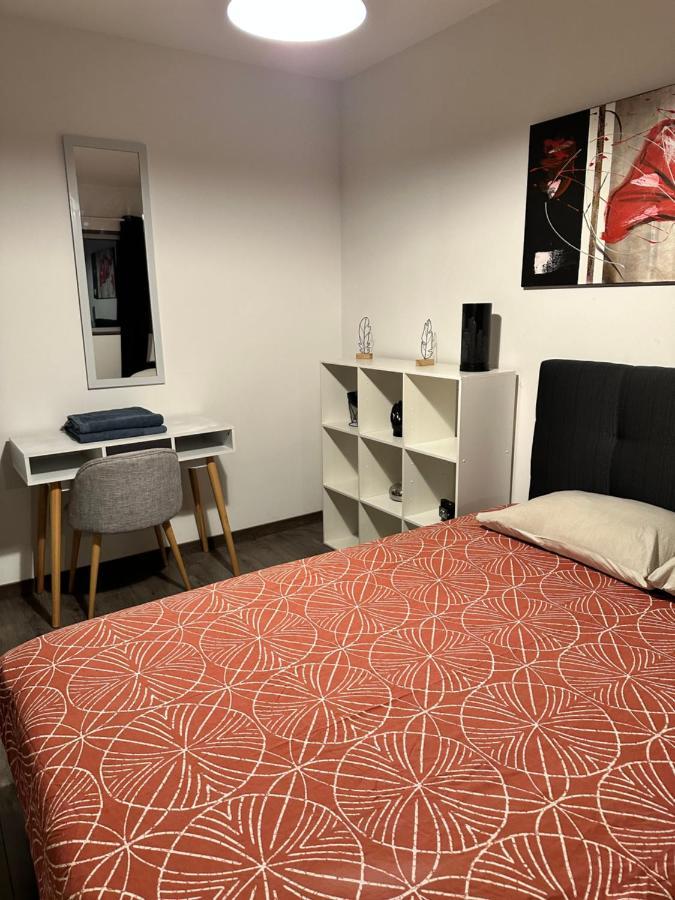 Magnifique Loft - Hyper Centre Apartment Annemasse Bagian luar foto