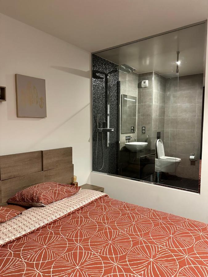 Magnifique Loft - Hyper Centre Apartment Annemasse Bagian luar foto